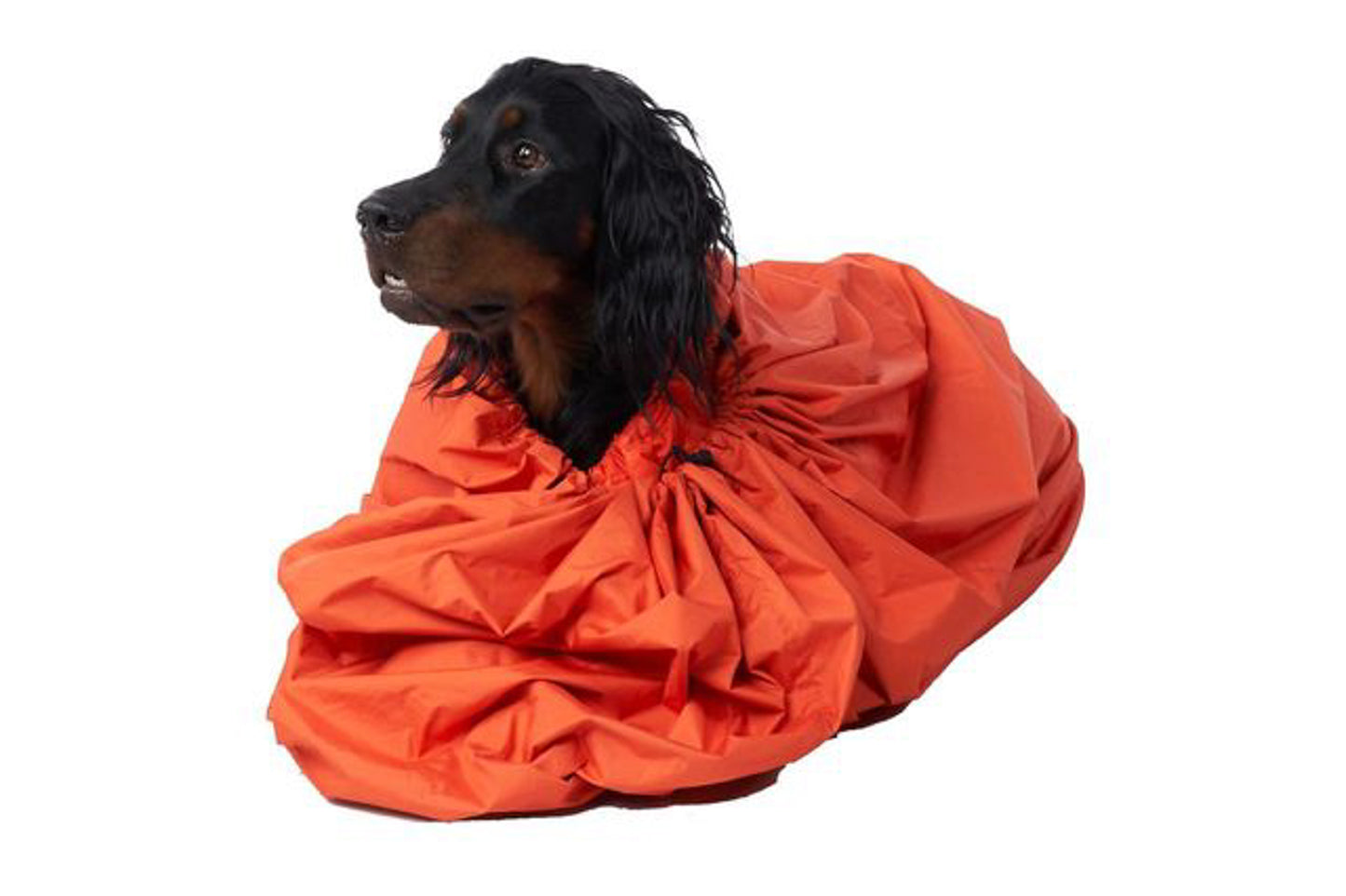 Protector bivvy bag (2)