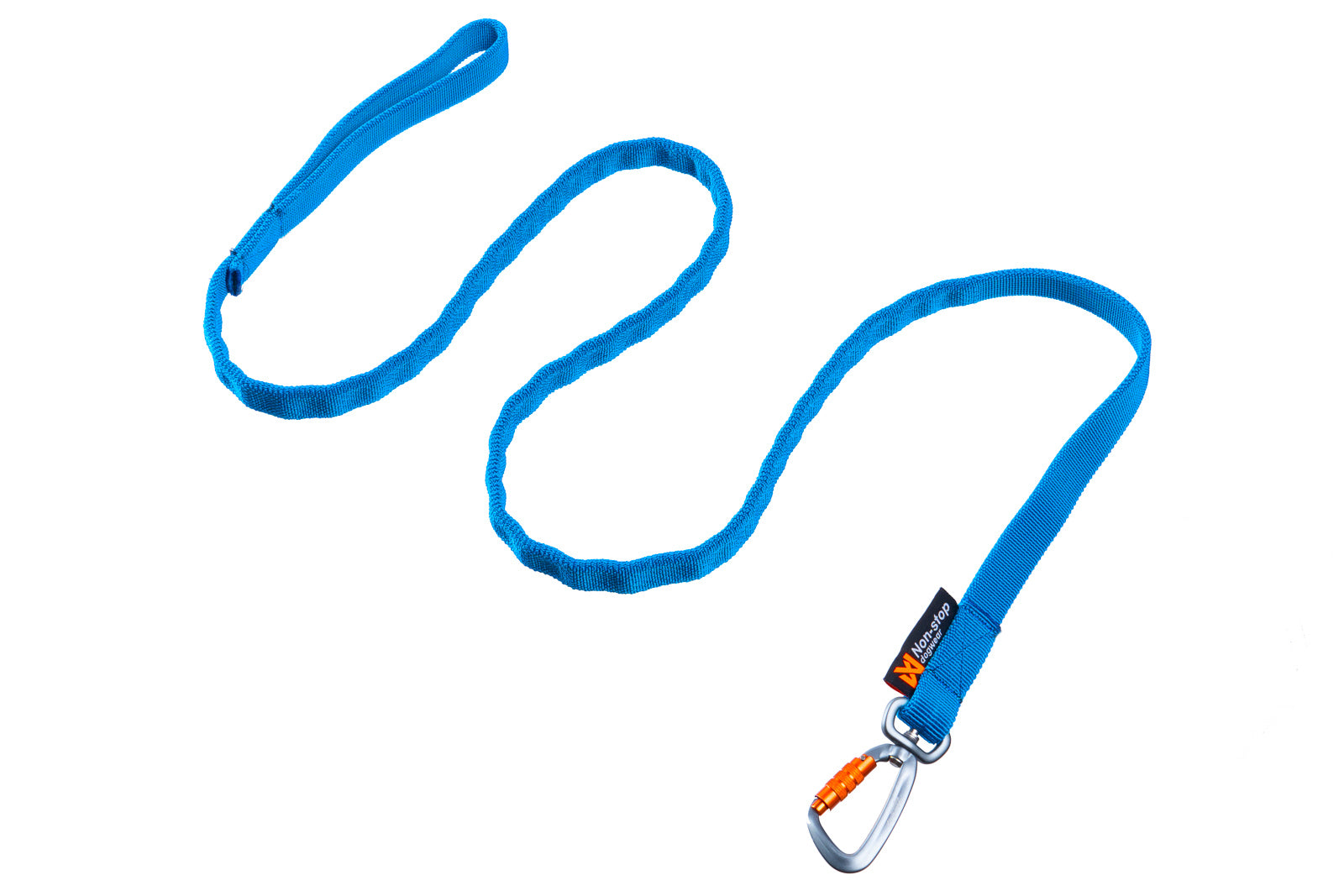 Bungee leash (1)