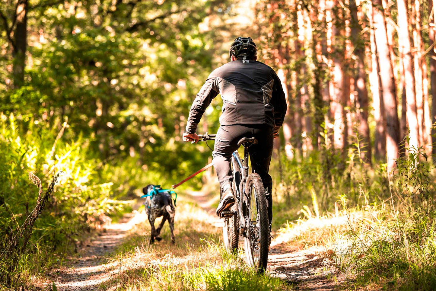 Canix warm-up jacket men's (4)