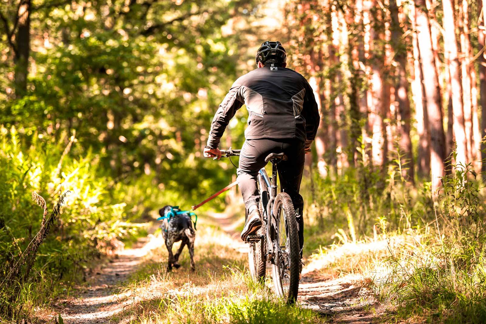 Canix warm-up jacket men's (4)