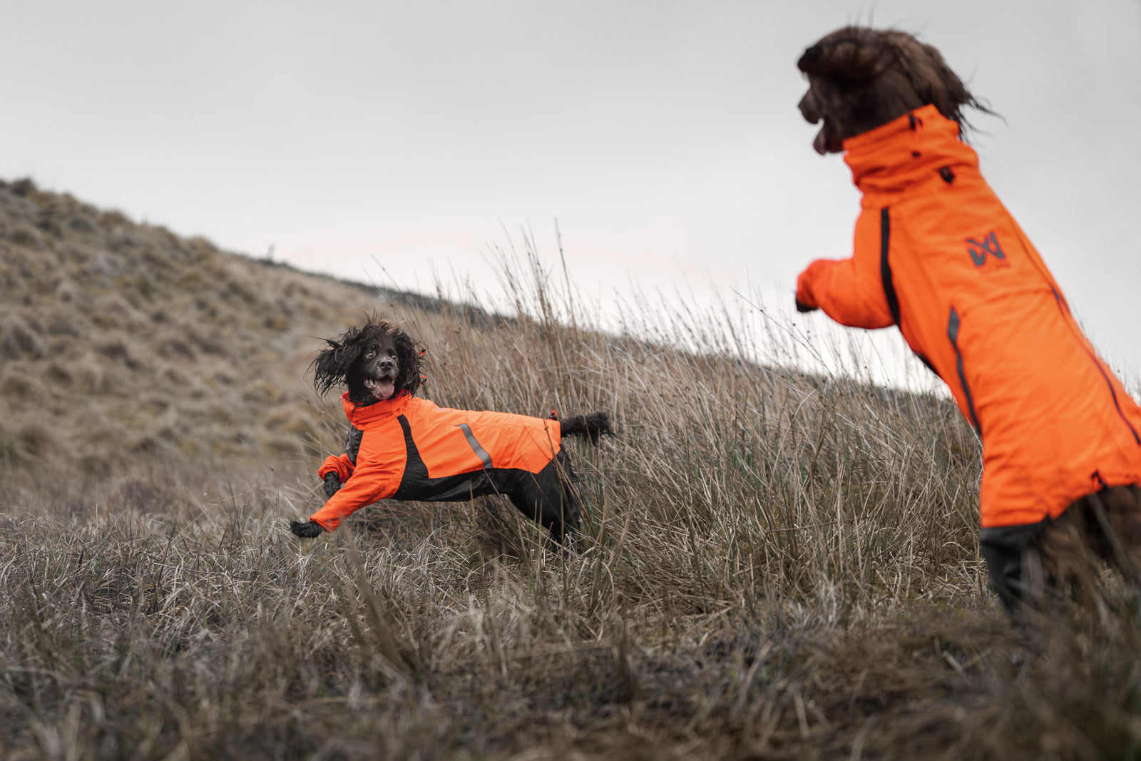 Fjord overall raincoat (3)