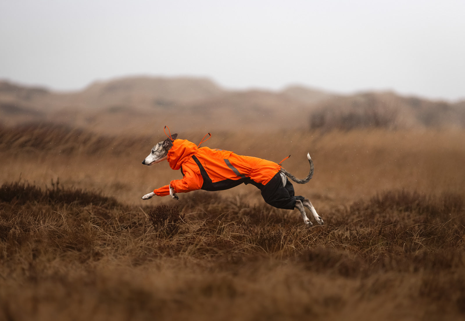 Fjord overall raincoat (4)