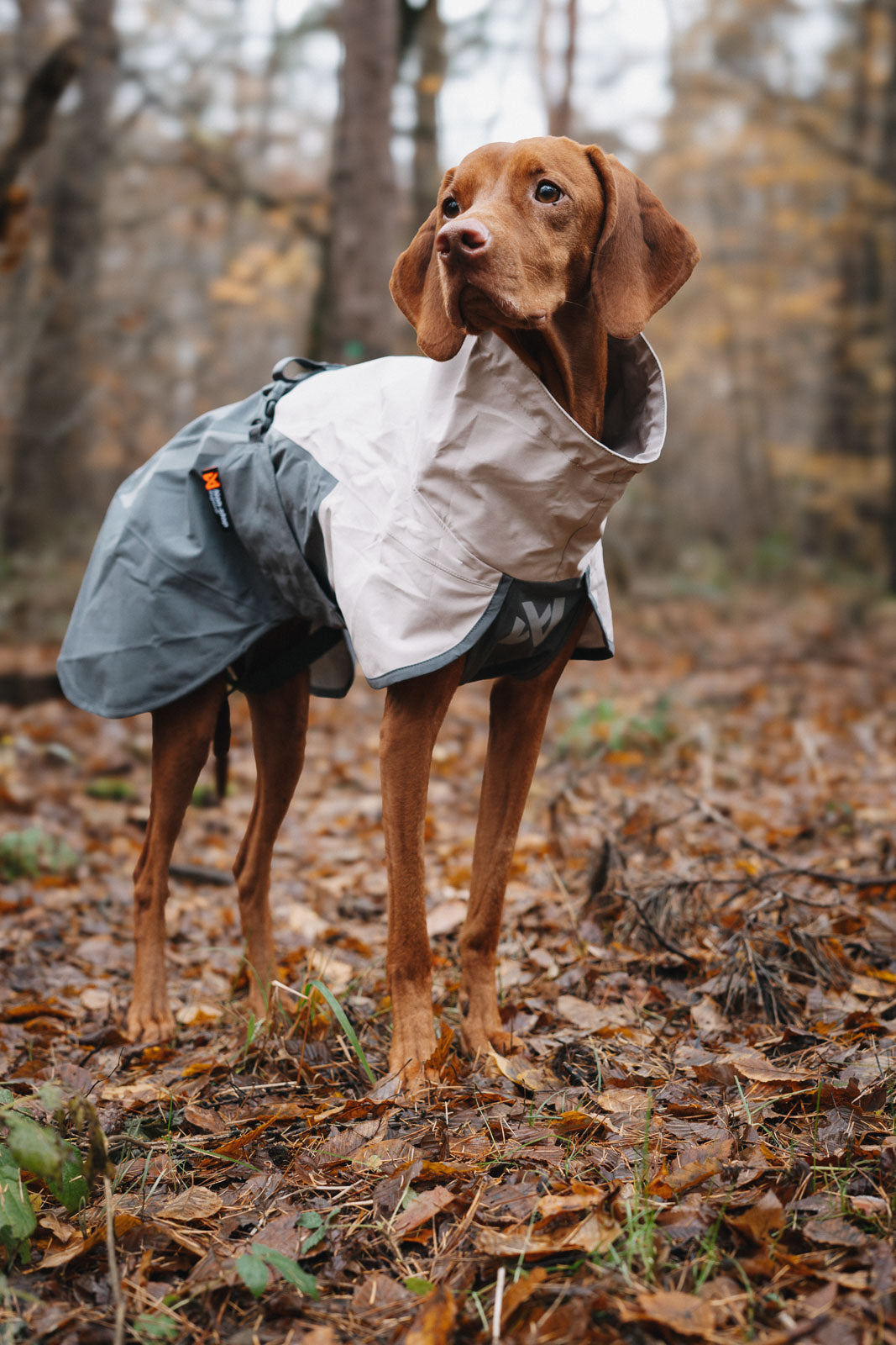Fjord raincoat 2.0 (5)