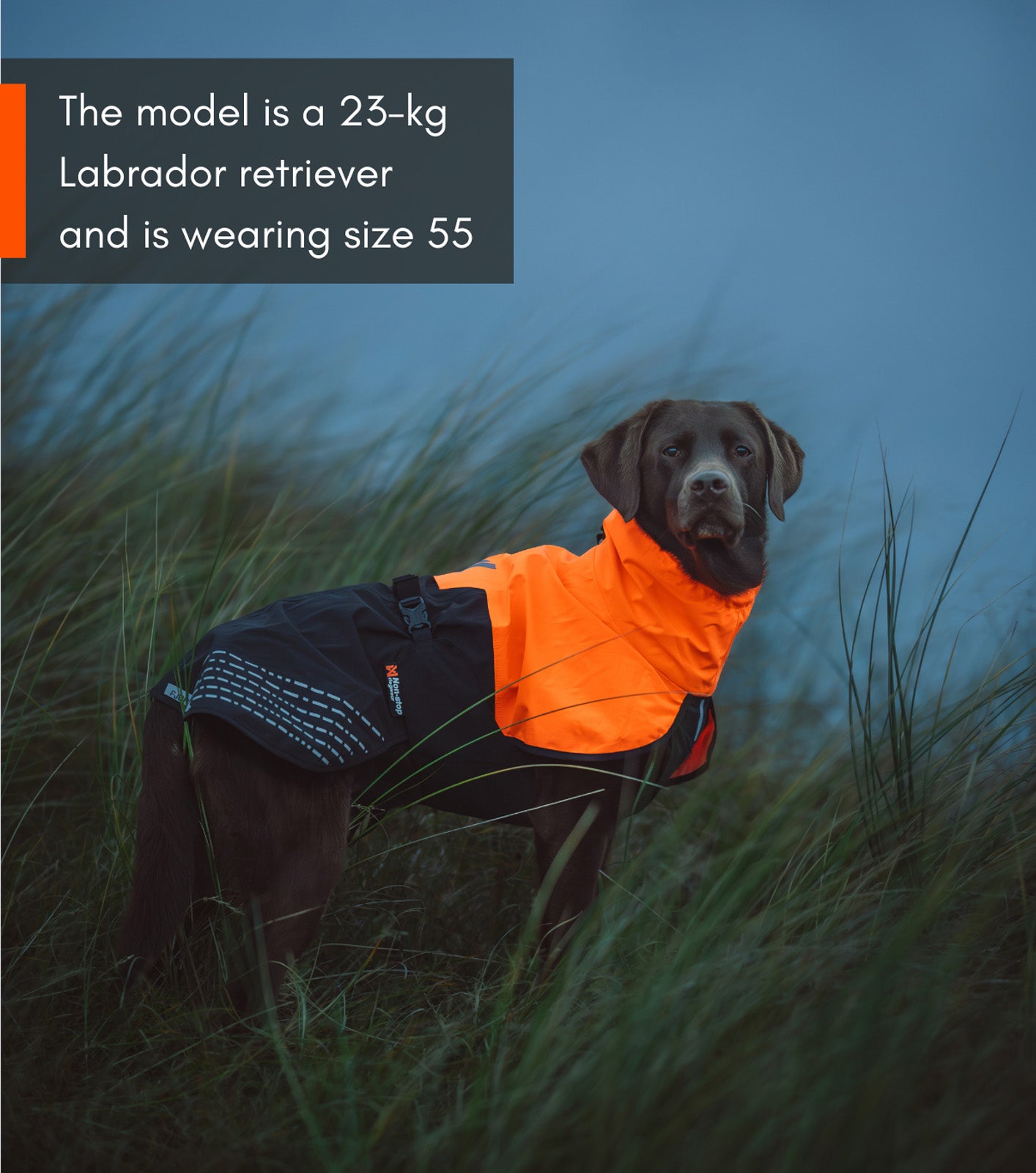 Fjord raincoat (6)