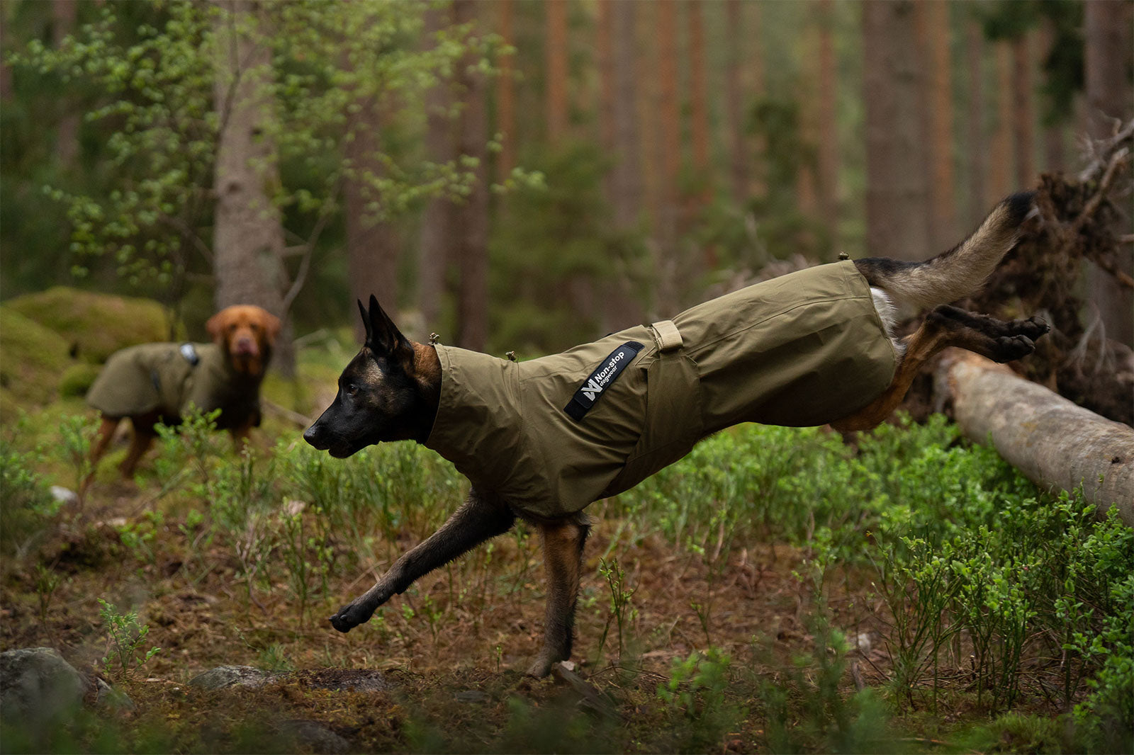 Fjord raincoat WD (1)