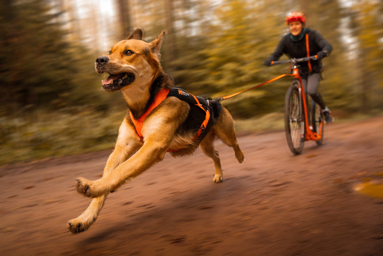 Freemotion harness 5.0 (4)