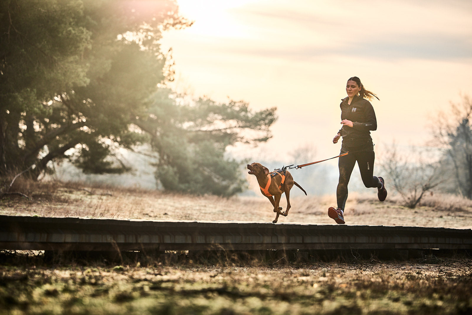 Freemotion harness 5.0 (5)