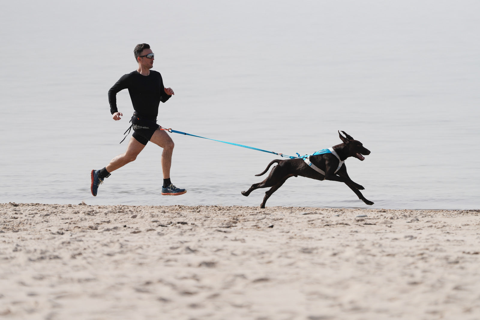 Freemotion harness 5.0 (6)