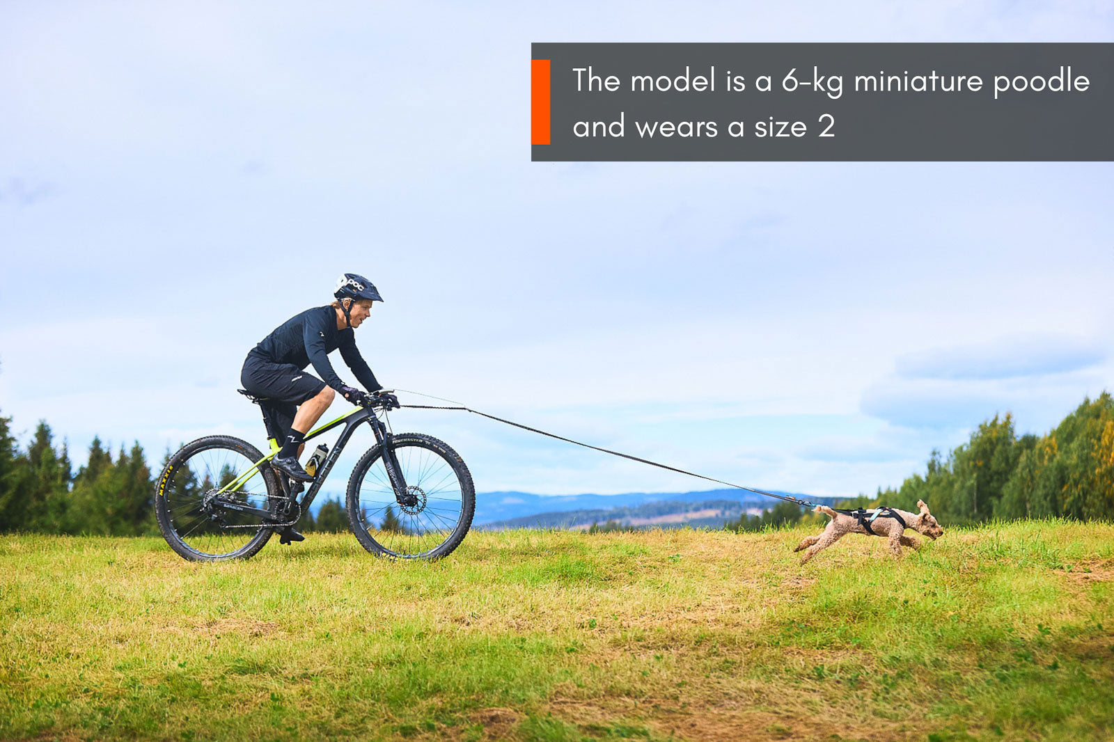 Freemotion harness (3)