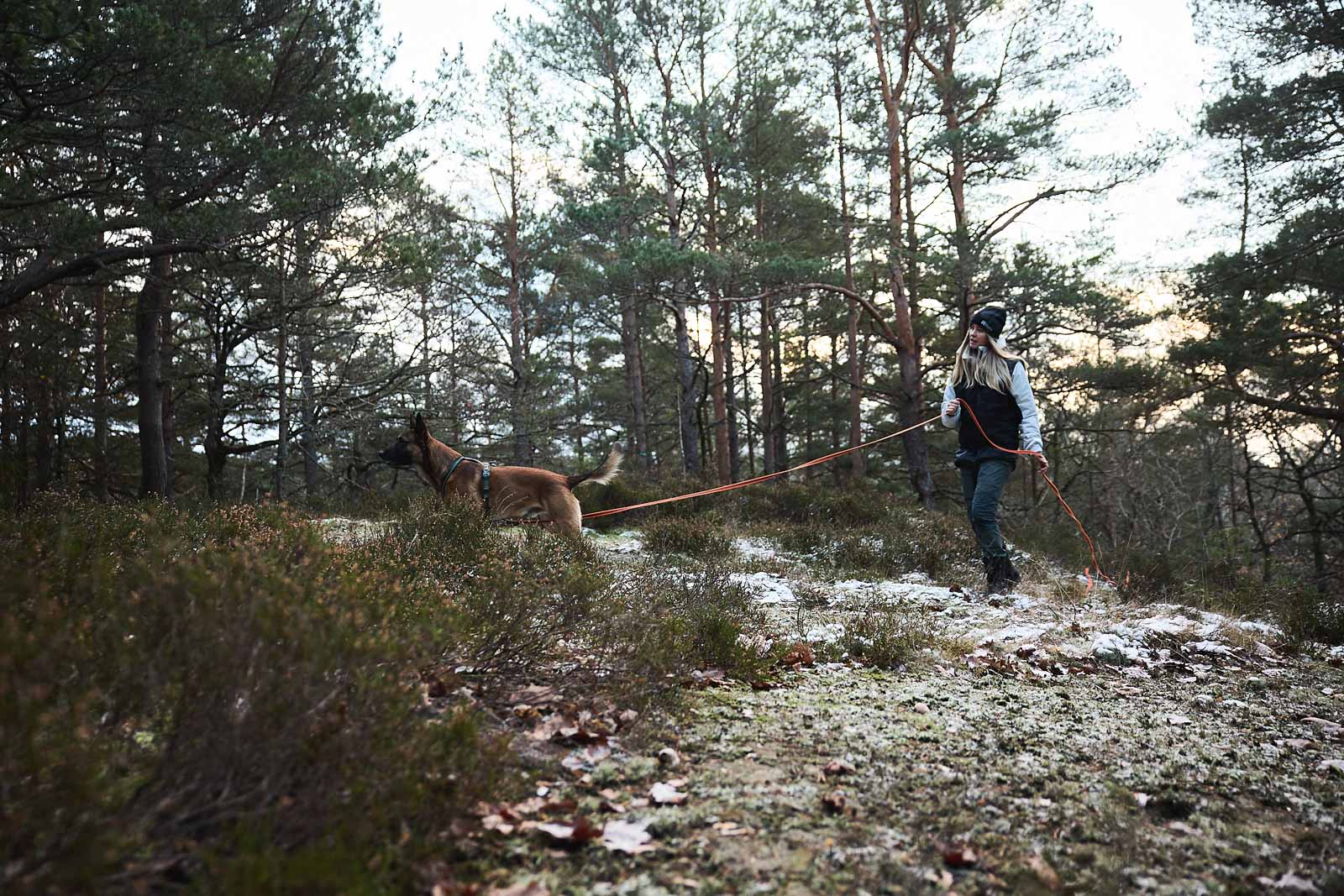 Friction long line (1)