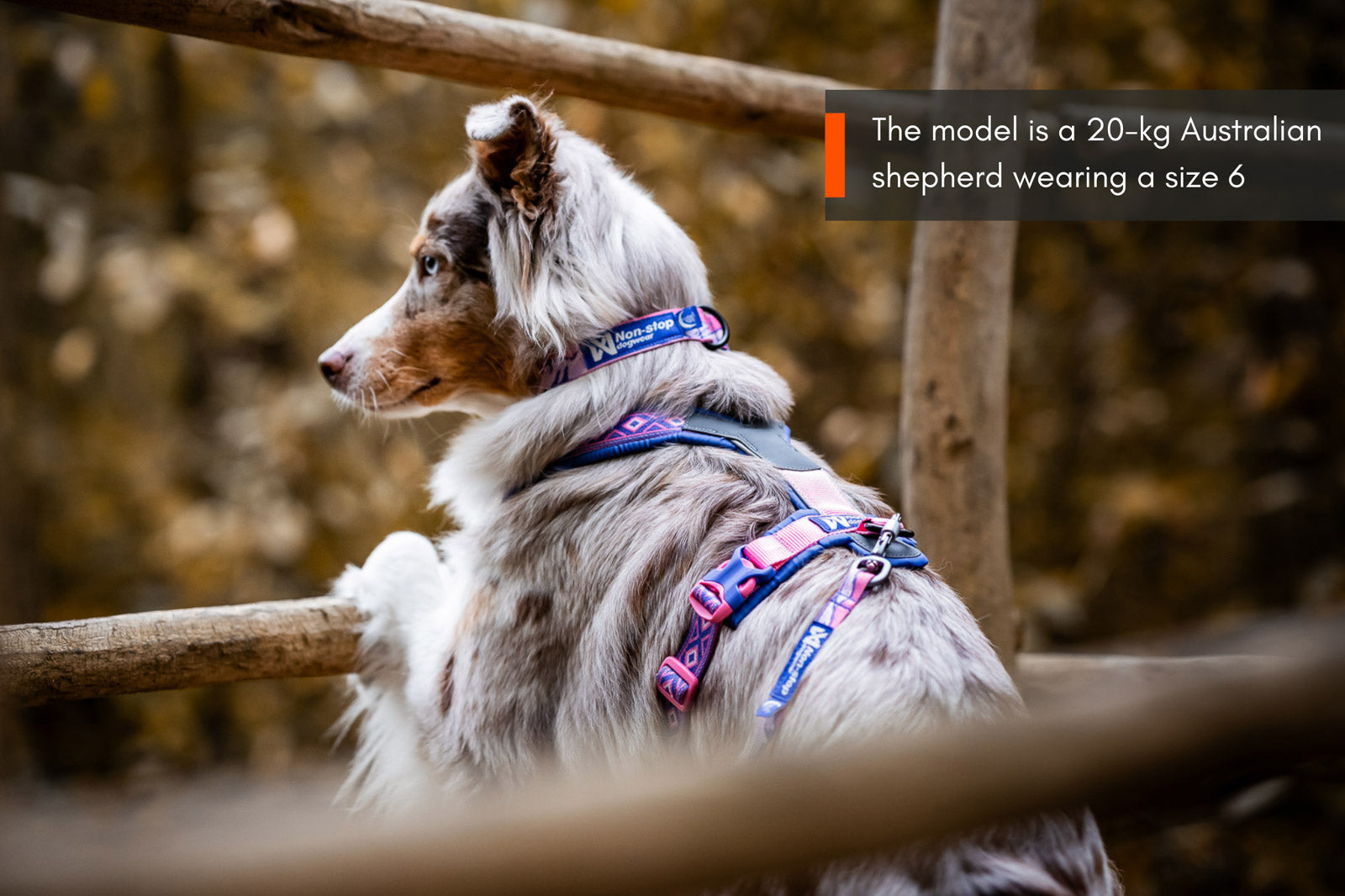 Line harness 5.0 Rachel Pohl edition (4)