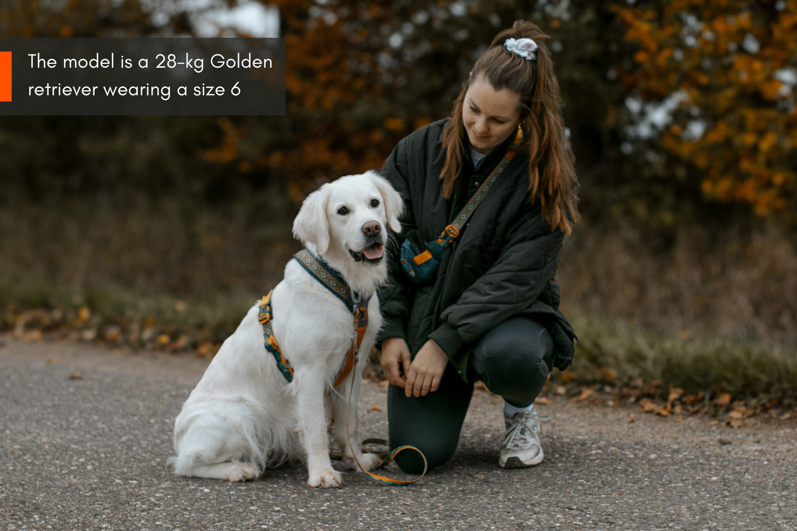 Line harness 5.0 Rachel Pohl edition (5)