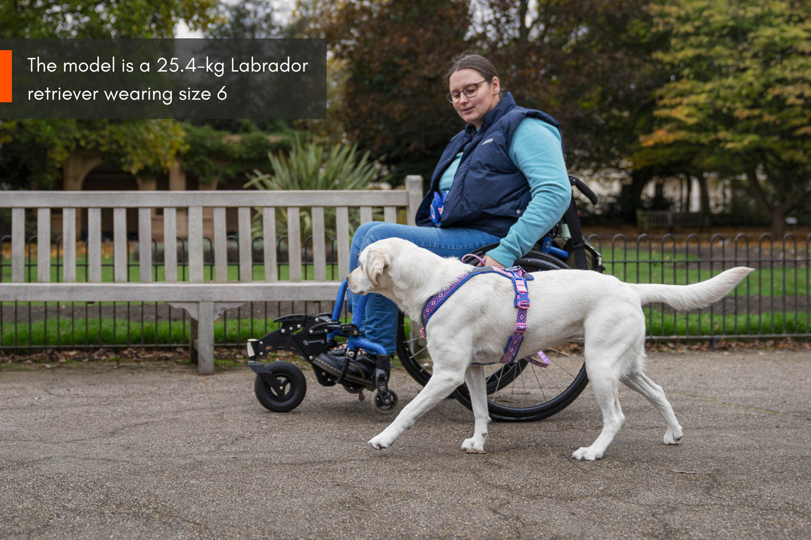 Line harness 5.0 Rachel Pohl edition (2)