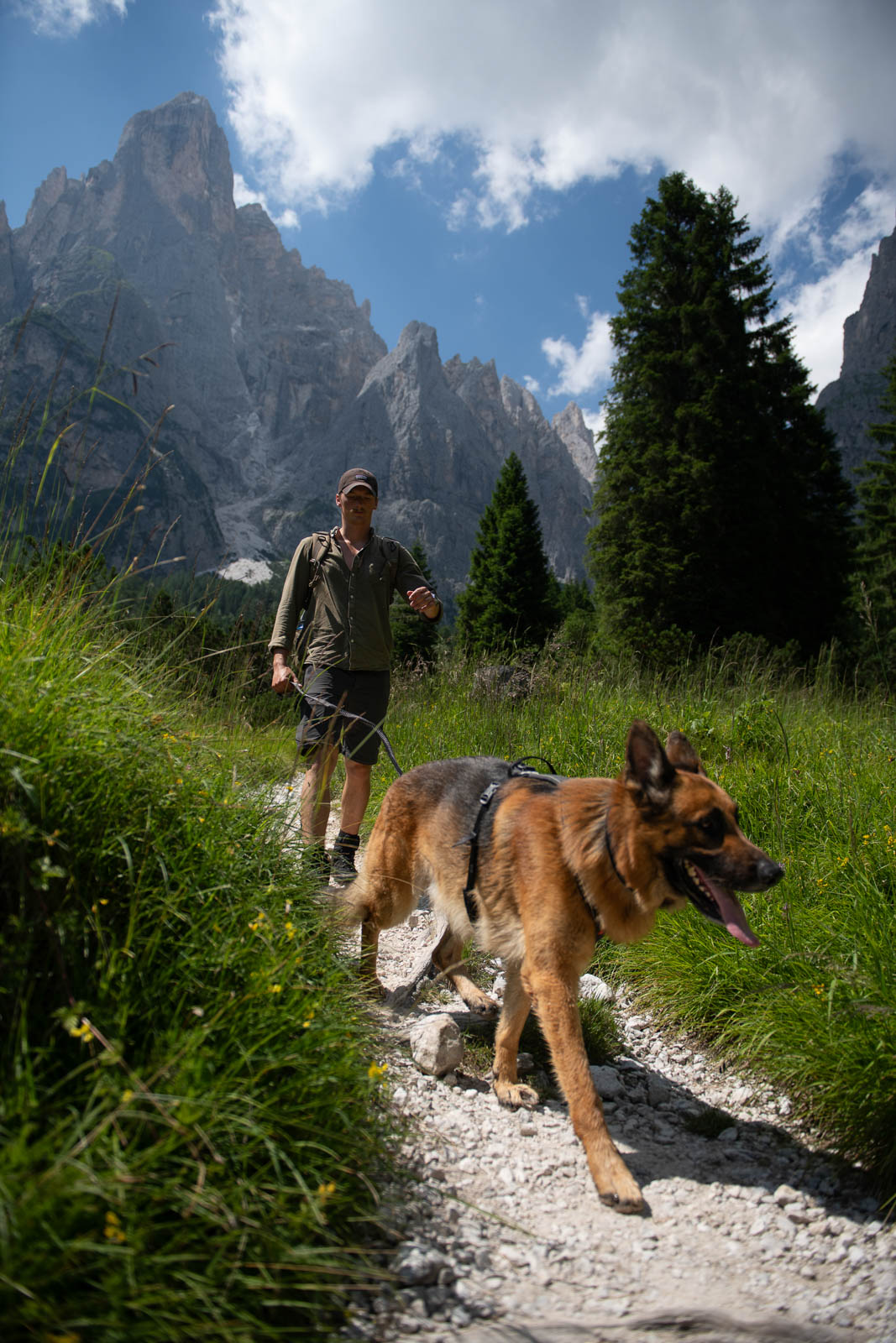 Line harness grip (3)