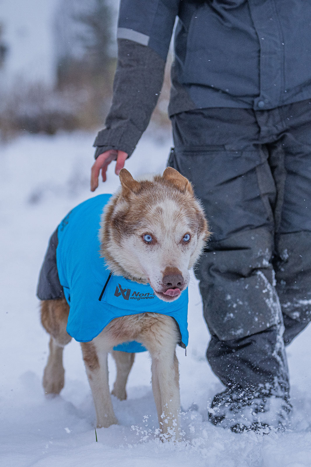 Long distance light jacket (1)