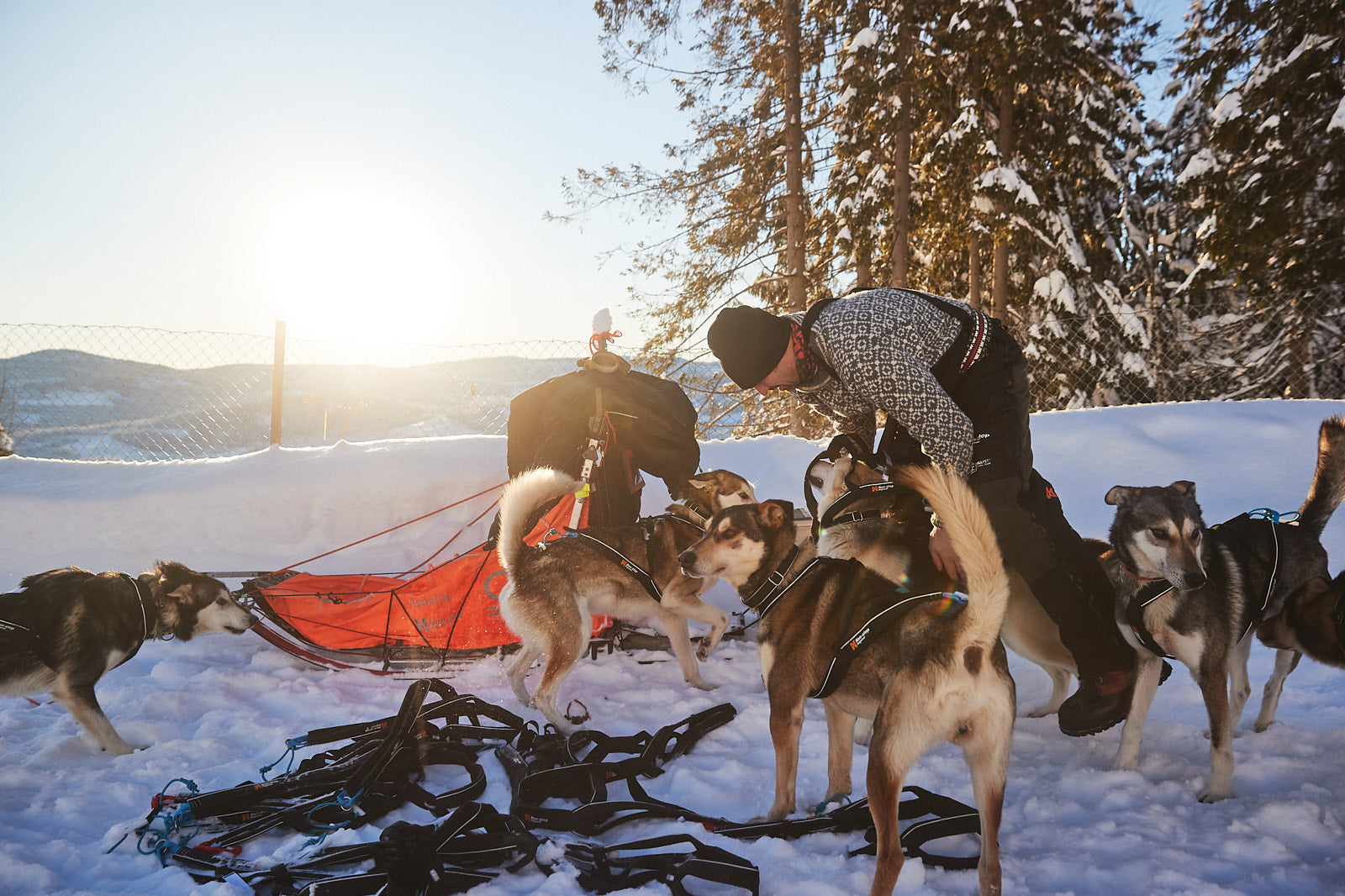 Nansen nome harness 5.0 (3)