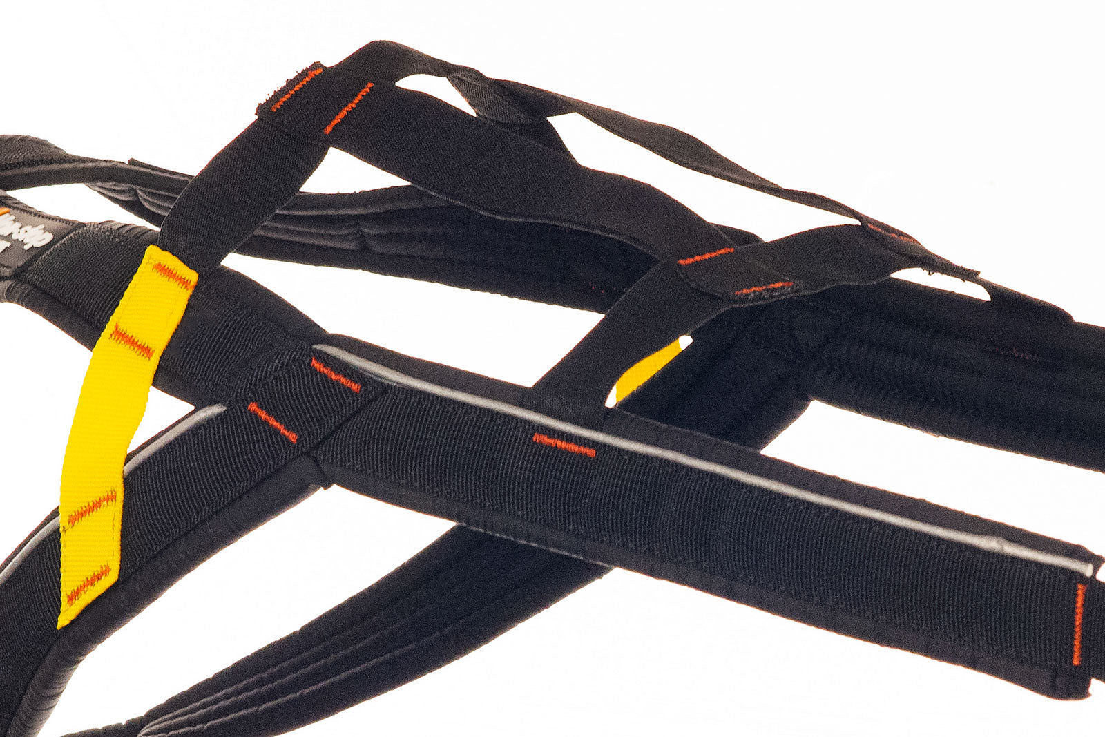 Nansen stick harness (2)