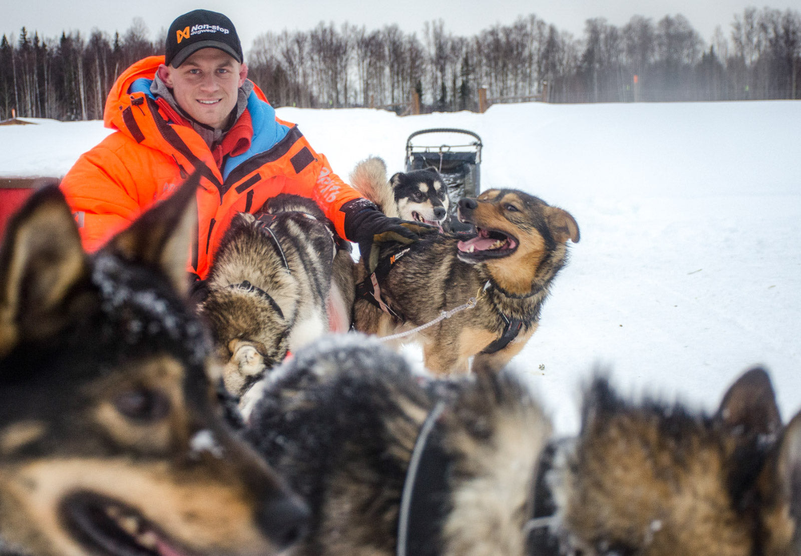 Nansen stick harness (5)