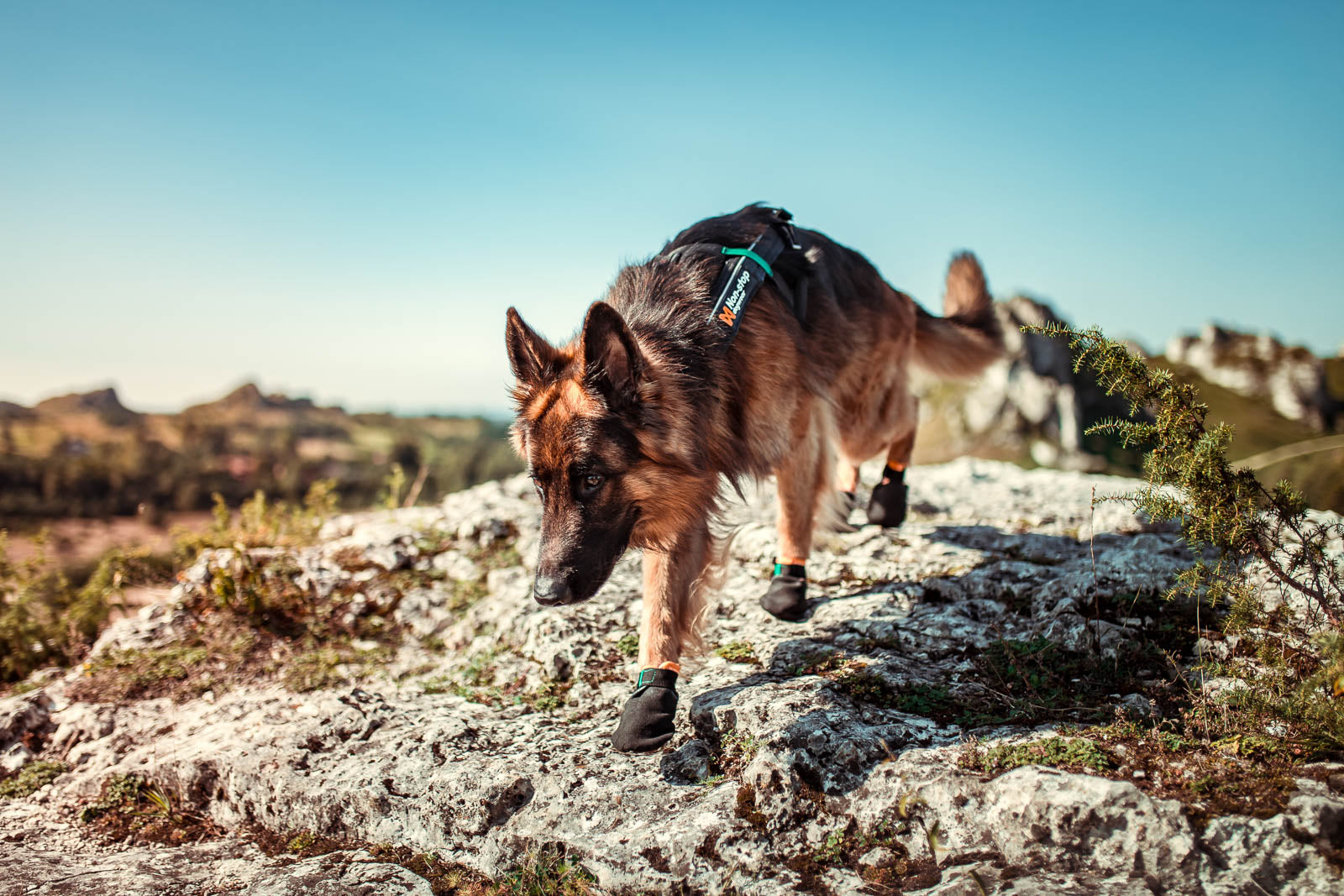 Protector bootie (2)