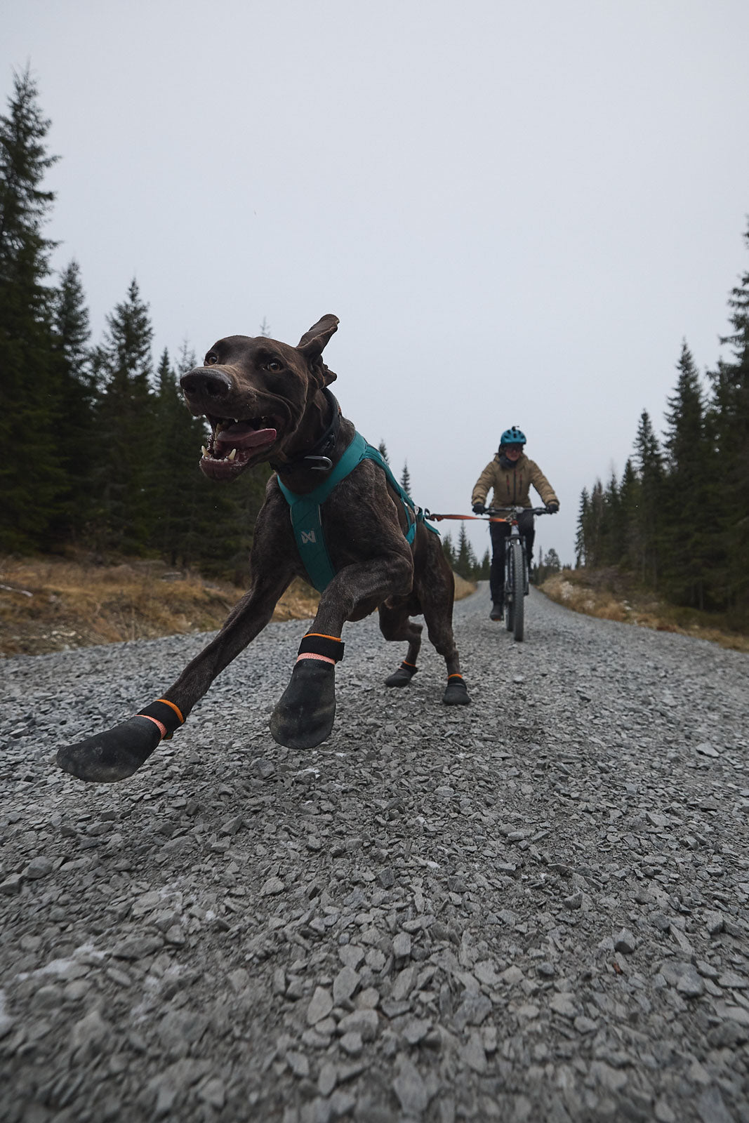 Protector bootie (3)