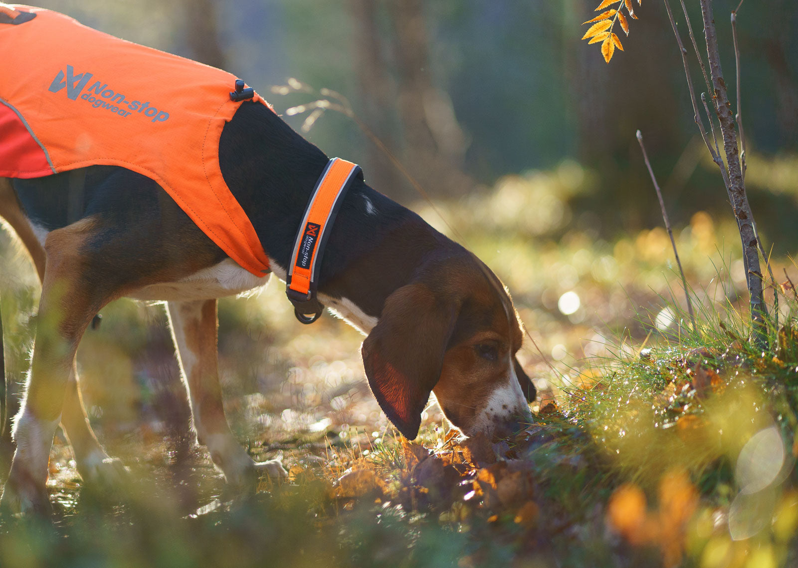 Protector collar (1)