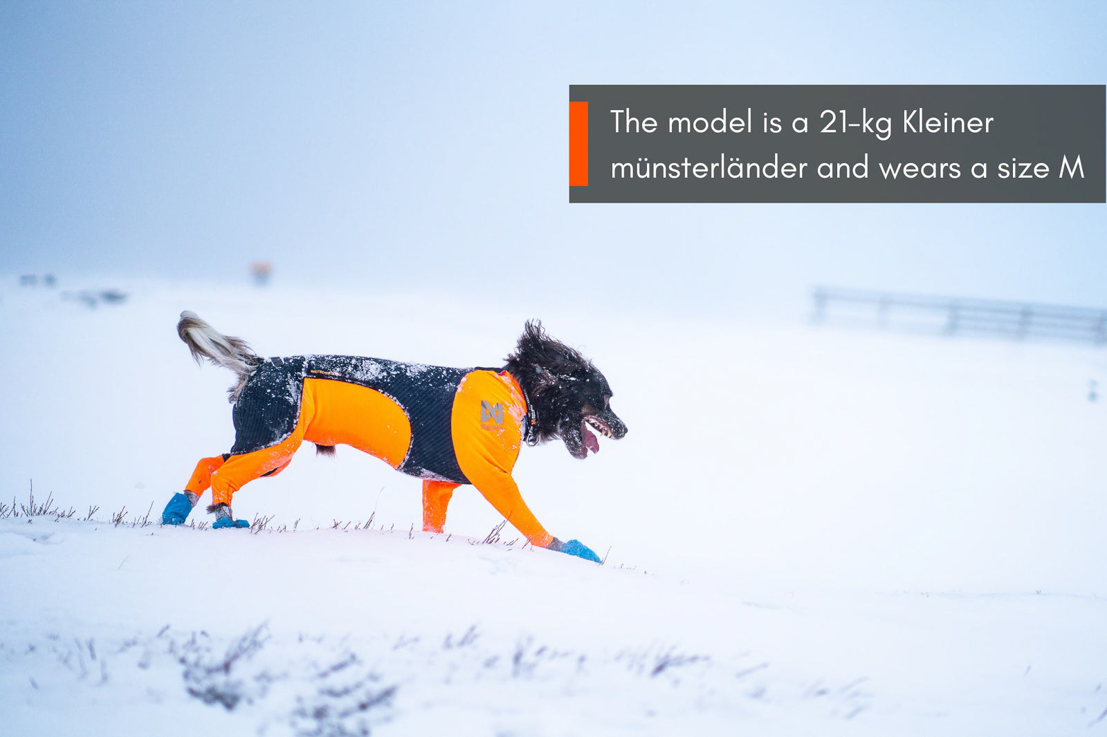 Protector snow female (4)