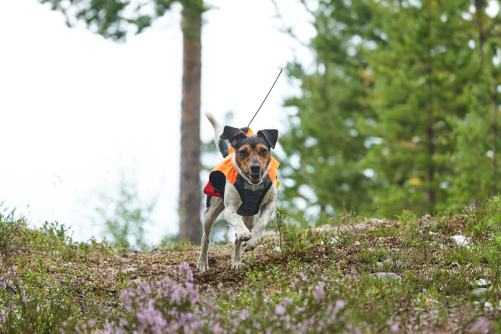 Protector vest GPS (3)