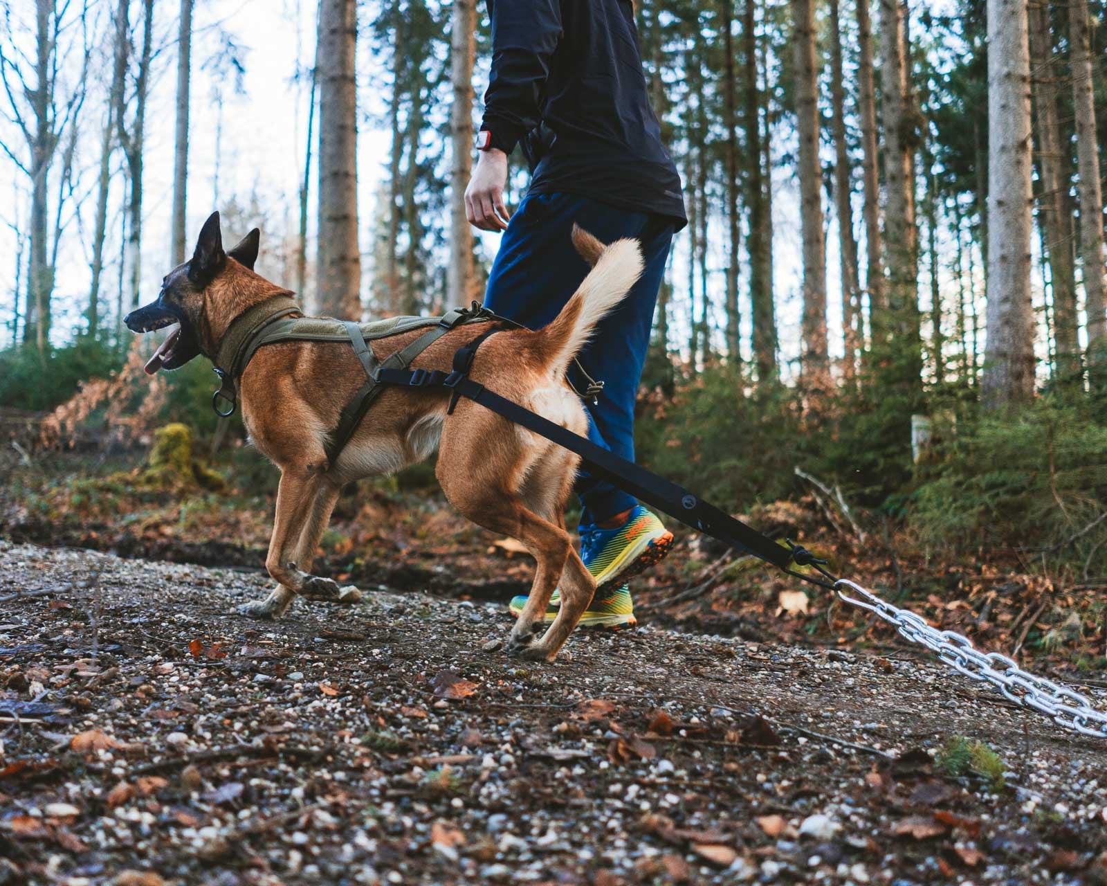 Pulling attachment WD (1)