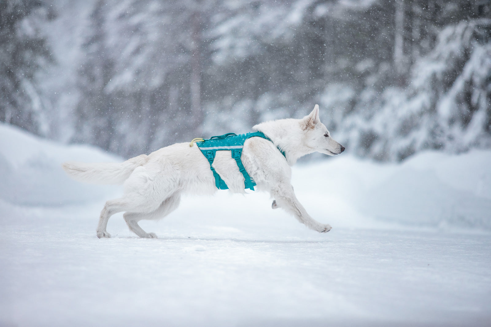 Ramble harness long (3)