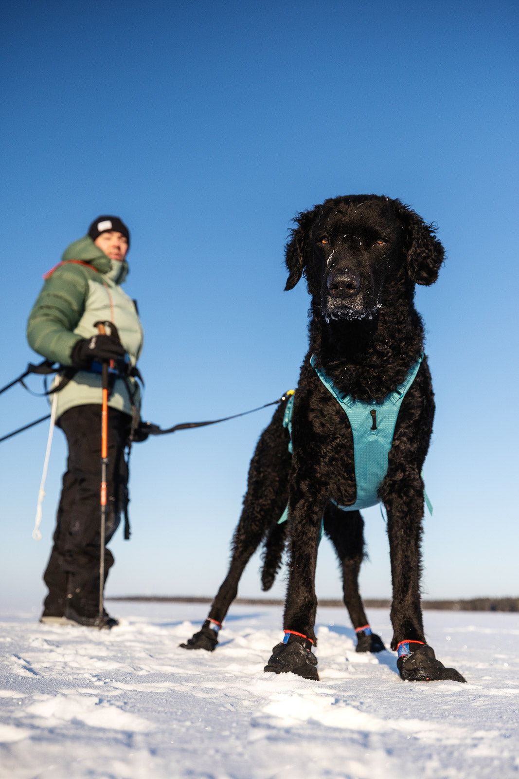 Ramble harness long (4)