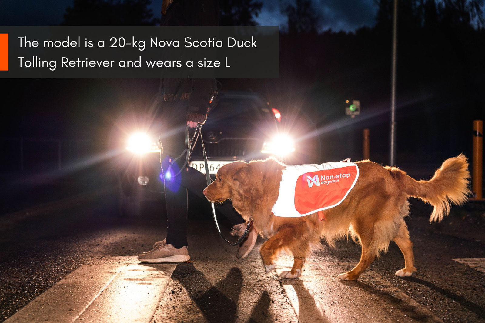 Reflection blanket (3)