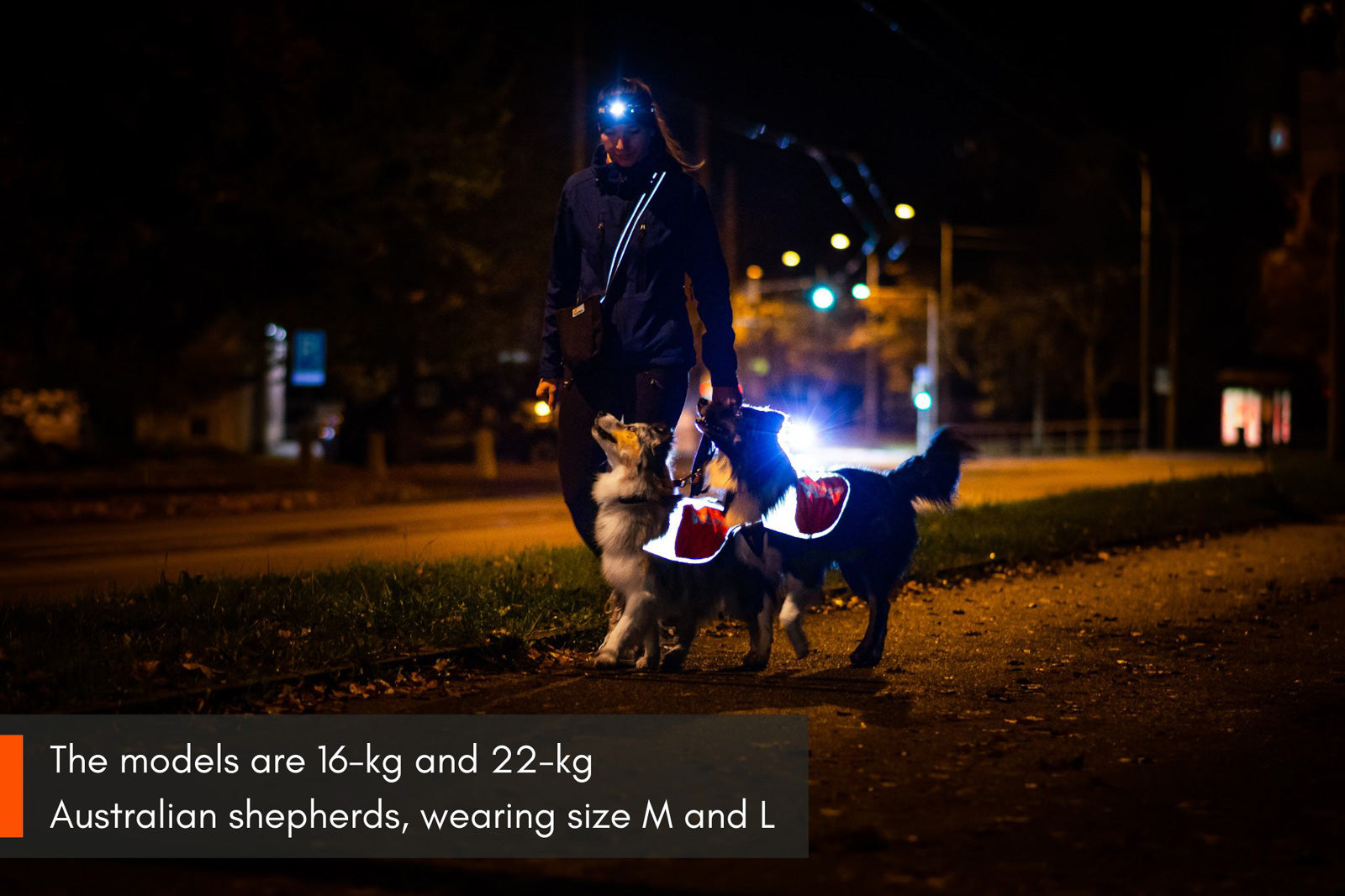 Reflection blanket (4)