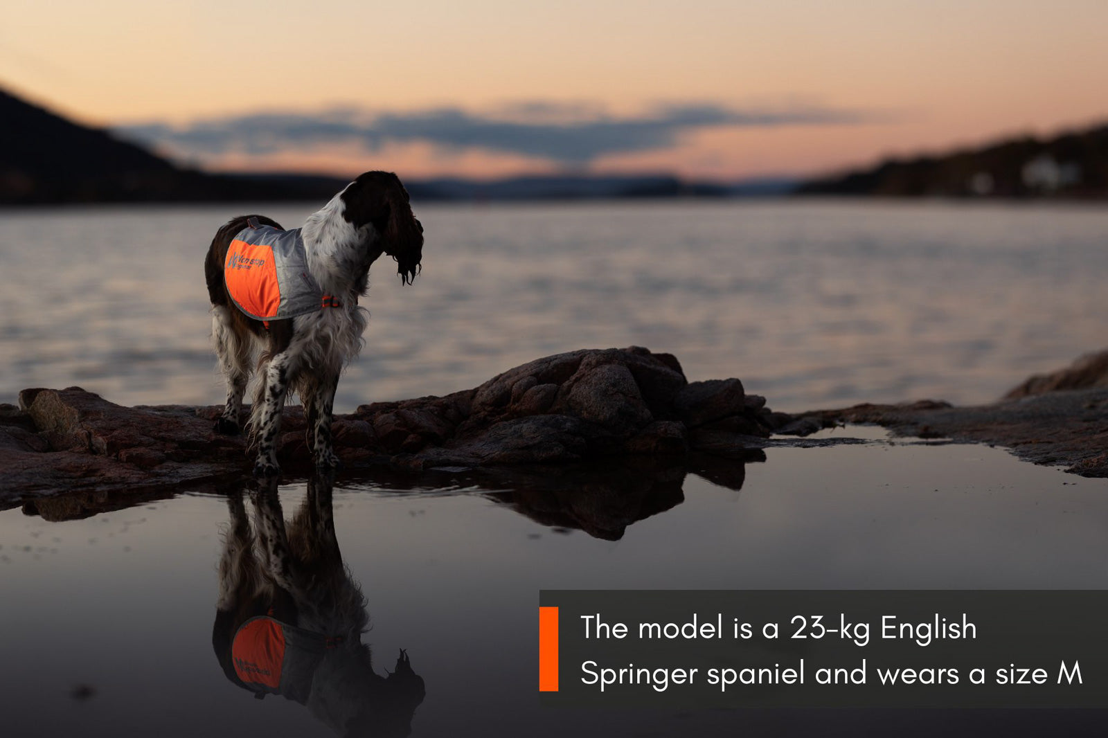 Reflection blanket (5)