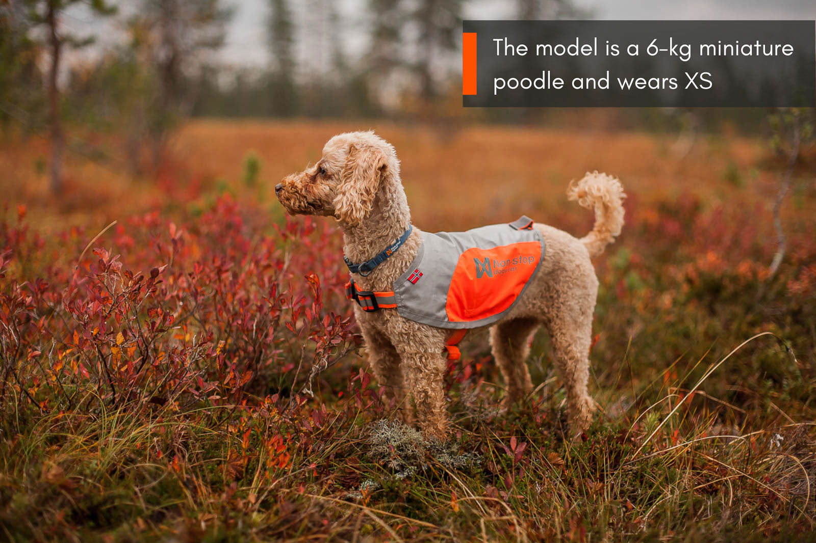 Reflection blanket (6)