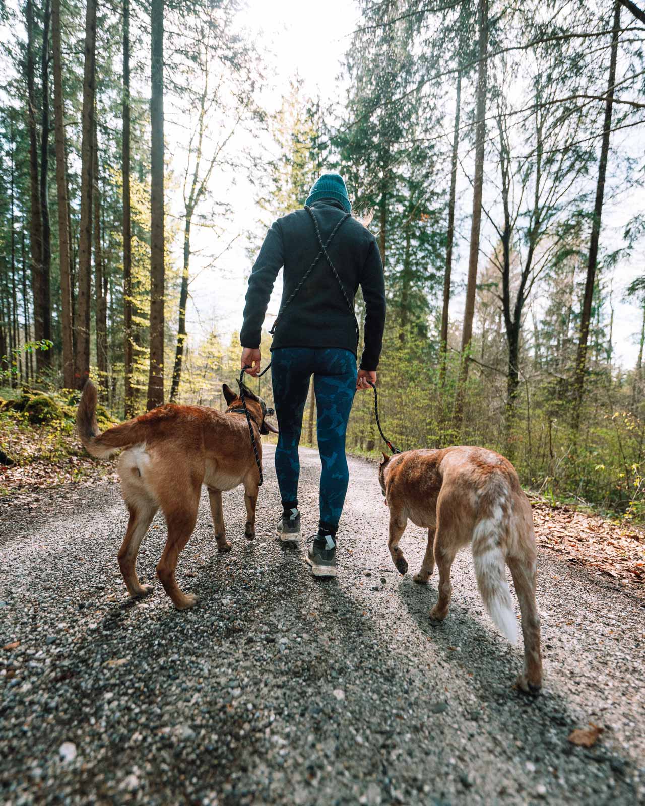 Rock adjustable leash (2)