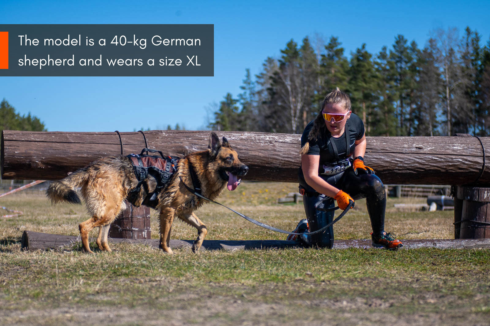 Rock harness long (1)