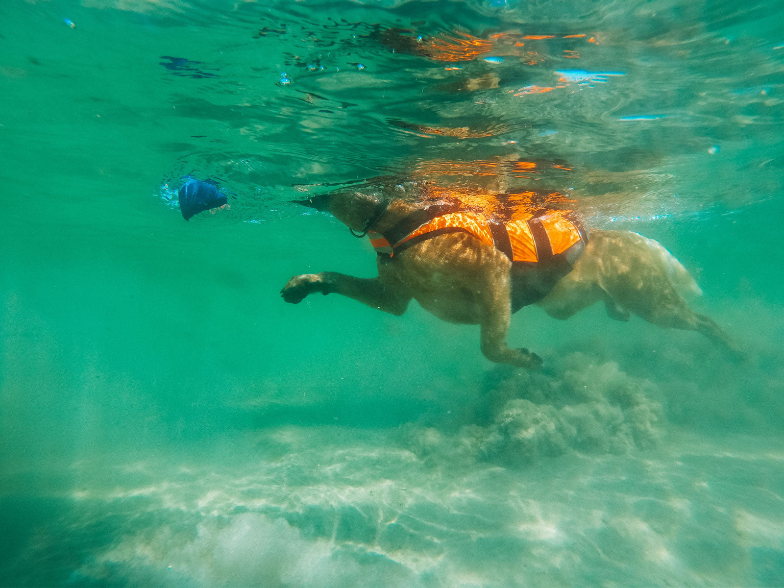 Safe life jacket 2.0 (2)