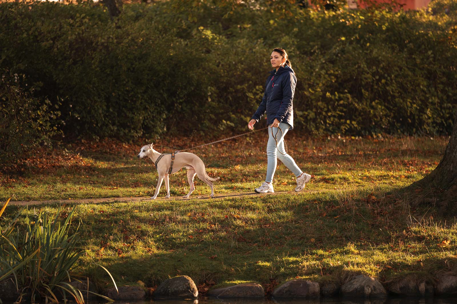 Trail quest leash Rachel Pohl edition (2)