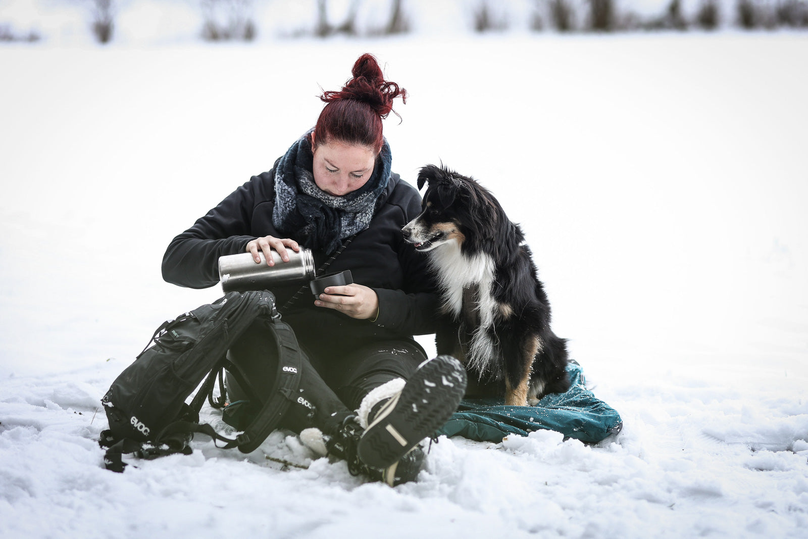 Trekking dog bed (3)