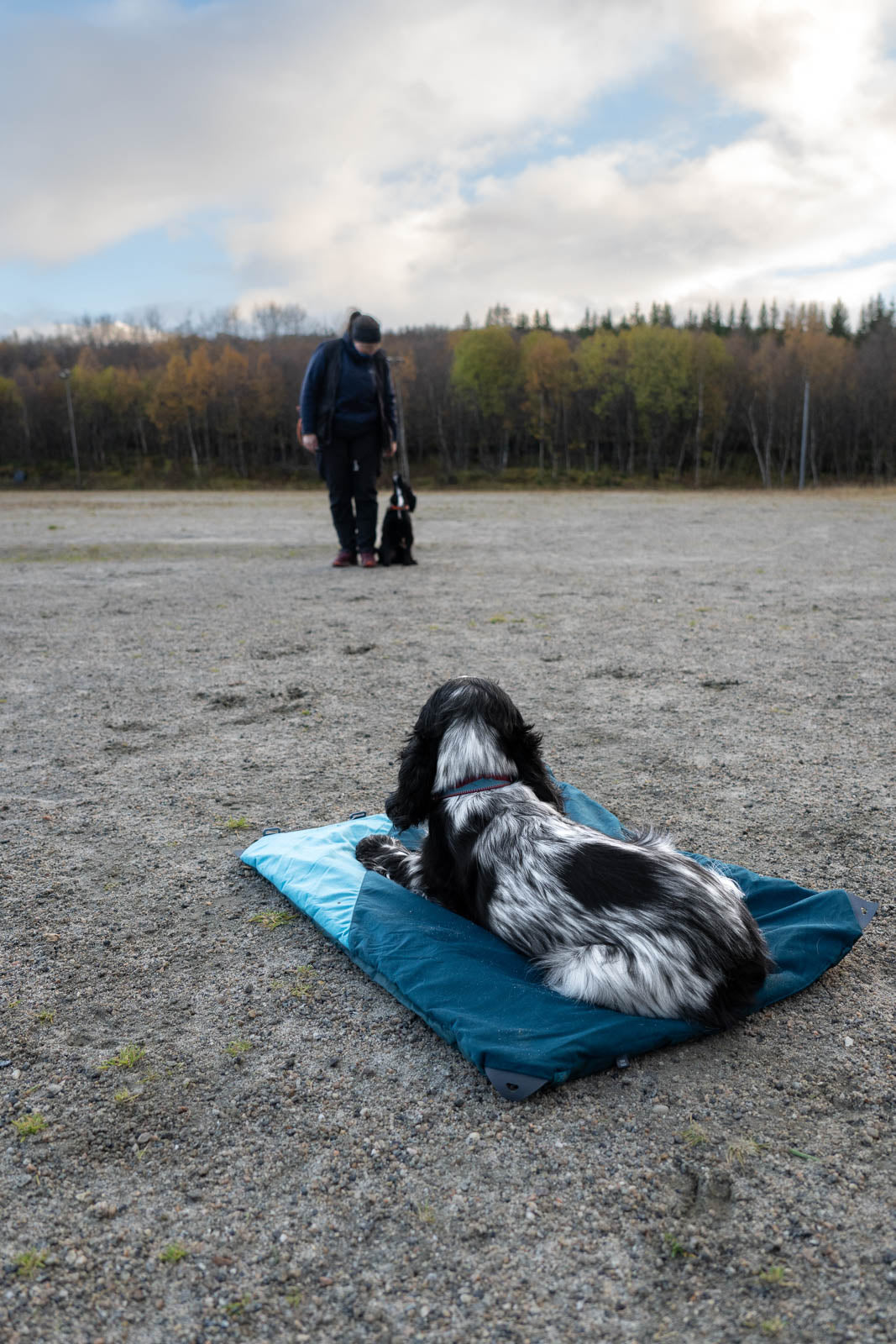 Trekking dog bed (2)