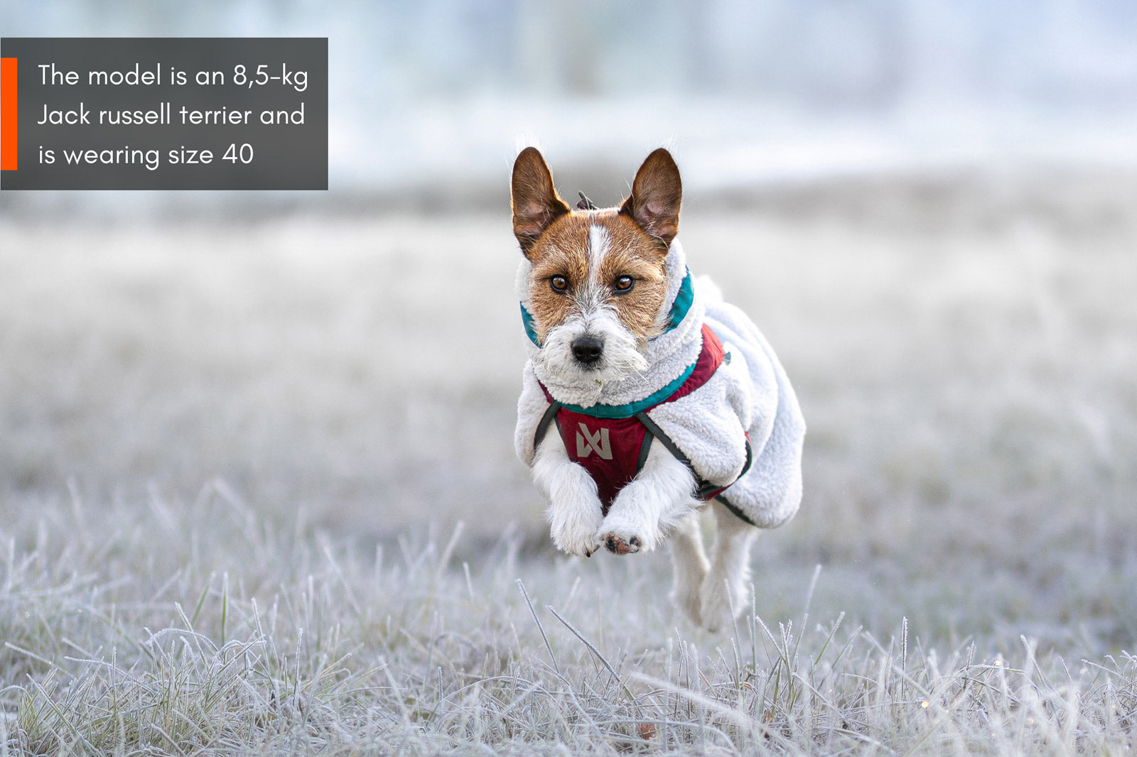 Trekking fleece dog jacket (1)