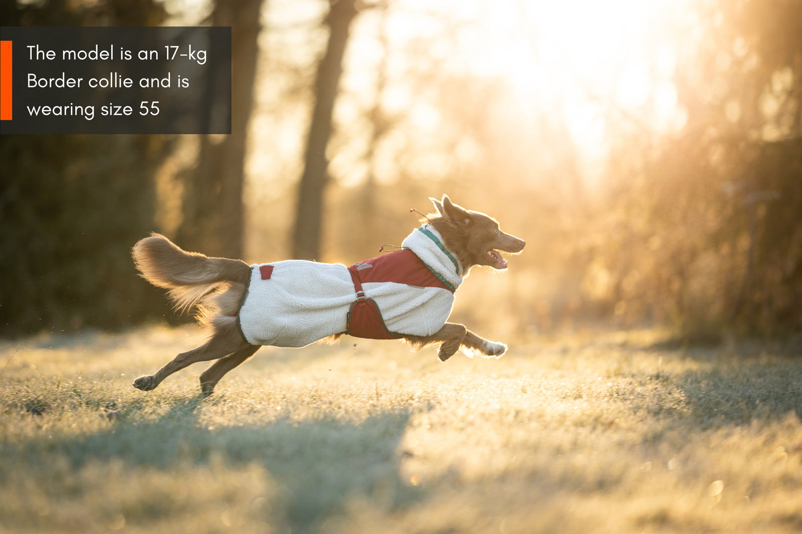 Trekking fleece dog jacket (2)