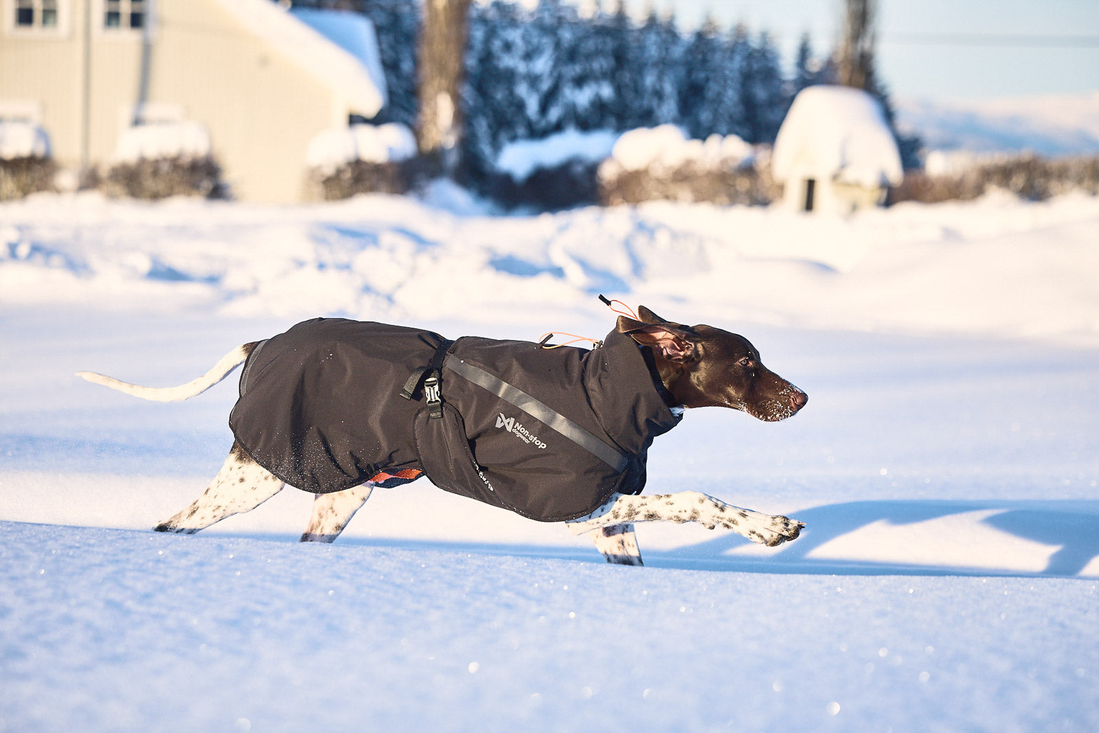 Trekking insulated dog jacket (3)