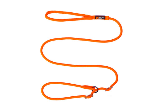 Retriever leash
